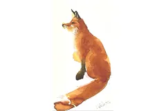 Large image, click to enlarge