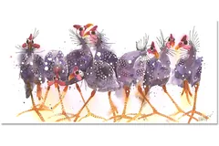 No frame image, click to enlarge