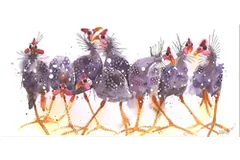 Large image, click to enlarge