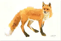 Large image, click to enlarge