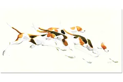 No frame image, click to enlarge