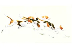 Large image, click to enlarge