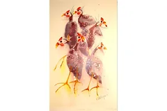 Large image, click to enlarge
