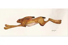 Large image, click to enlarge