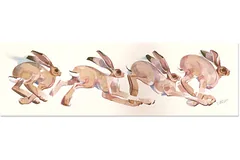 No frame image, click to enlarge
