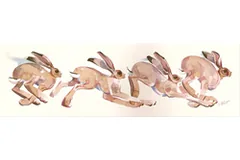 Large image, click to enlarge