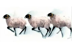 Large image, click to enlarge
