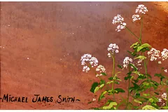 Signature image, click to enlarge