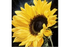 Large image, click to enlarge
