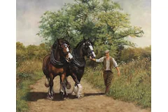 No frame image, click to enlarge