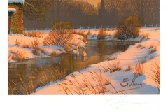 Signature image, click to enlarge