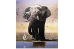 Large image, click to enlarge