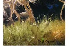 Signature image, click to enlarge