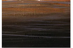 Signature image, click to enlarge