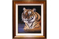 Large image, click to enlarge