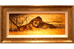 Large image, click to enlarge