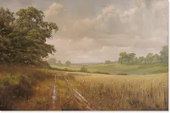 No frame image, click to enlarge