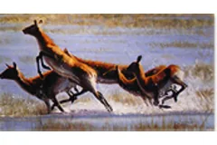 Large image, click to enlarge