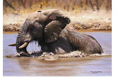 No frame image, click to enlarge