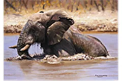 Large image, click to enlarge