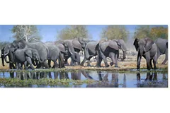 Large image, click to enlarge