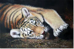 No frame image, click to enlarge