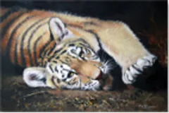 Large image, click to enlarge