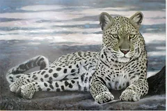 No frame image, click to enlarge