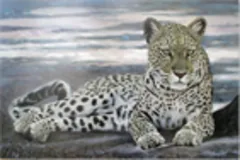 Large image, click to enlarge