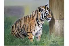No frame image, click to enlarge