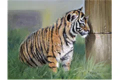 Large image, click to enlarge