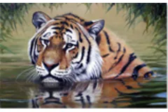 Large image, click to enlarge