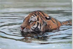 Large image, click to enlarge