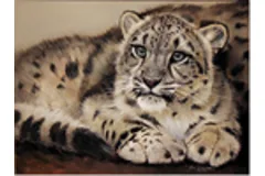 Large image, click to enlarge