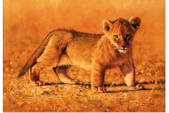 No frame image, click to enlarge