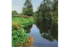 No frame image, click to enlarge