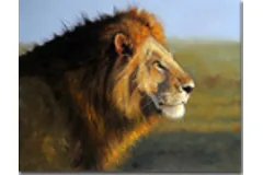 Large image, click to enlarge
