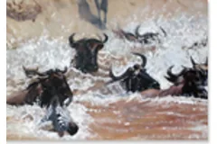 Large image, click to enlarge