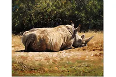 No frame image, click to enlarge