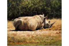 Large image, click to enlarge