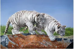 No frame image, click to enlarge