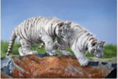Large image, click to enlarge