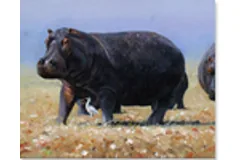 Large image, click to enlarge