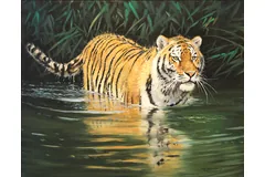 No frame image, click to enlarge