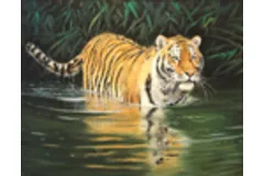 Large image, click to enlarge
