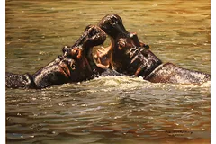 No frame image, click to enlarge