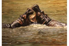 Large image, click to enlarge