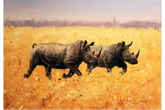 No frame image, click to enlarge