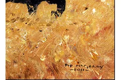 Signature image, click to enlarge