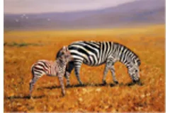 Large image, click to enlarge